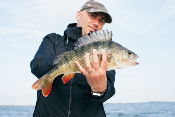 A man holding a fish.